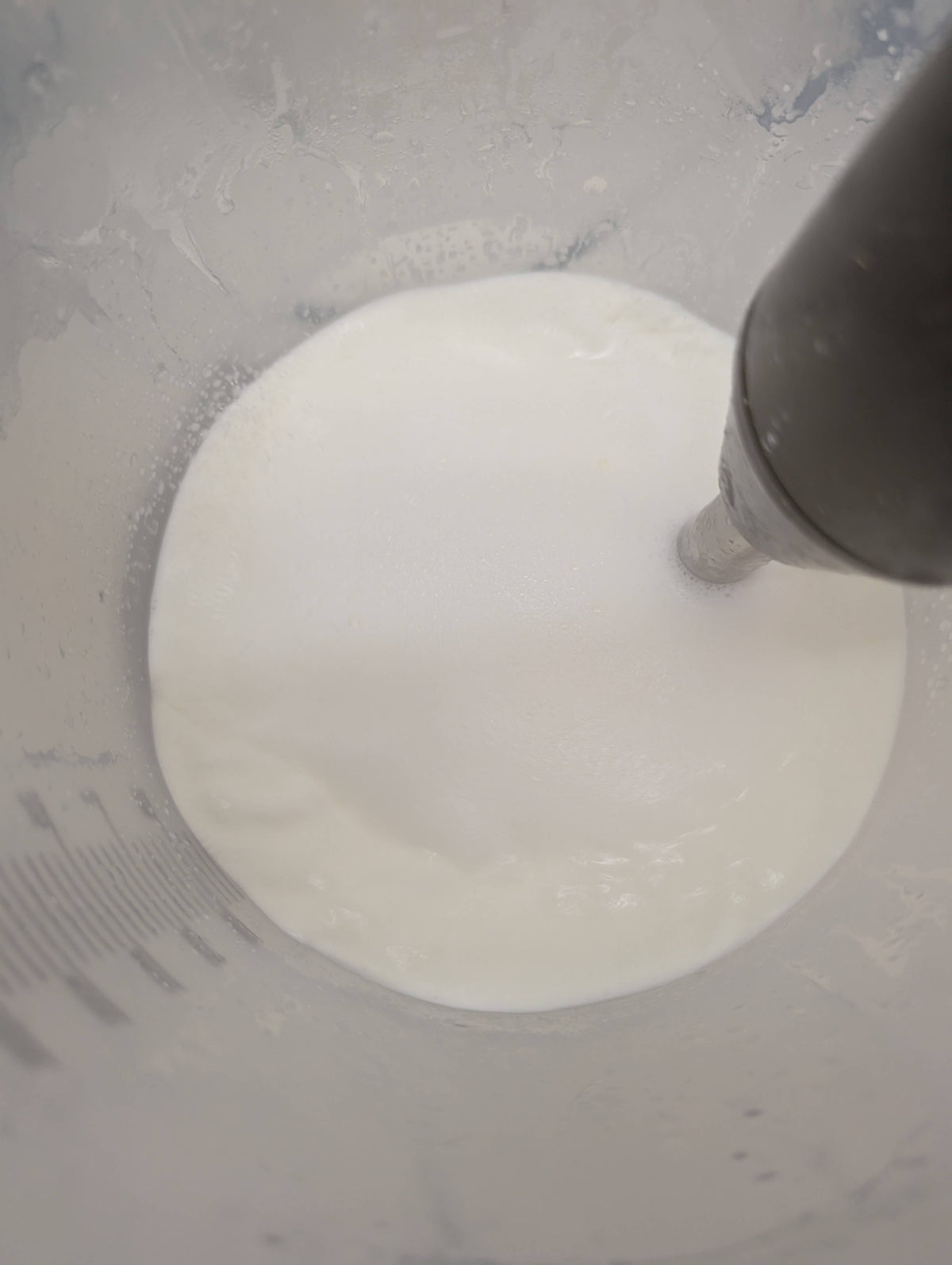 Tallow (Beef) Body Lotion - 8 oz pump bottle: Christmas Cookies